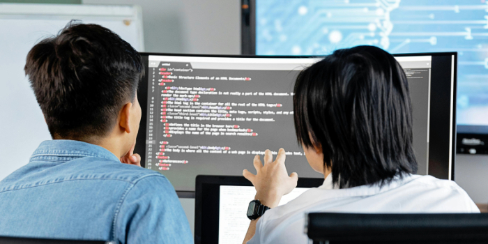 two software developers looking at code on computer screen